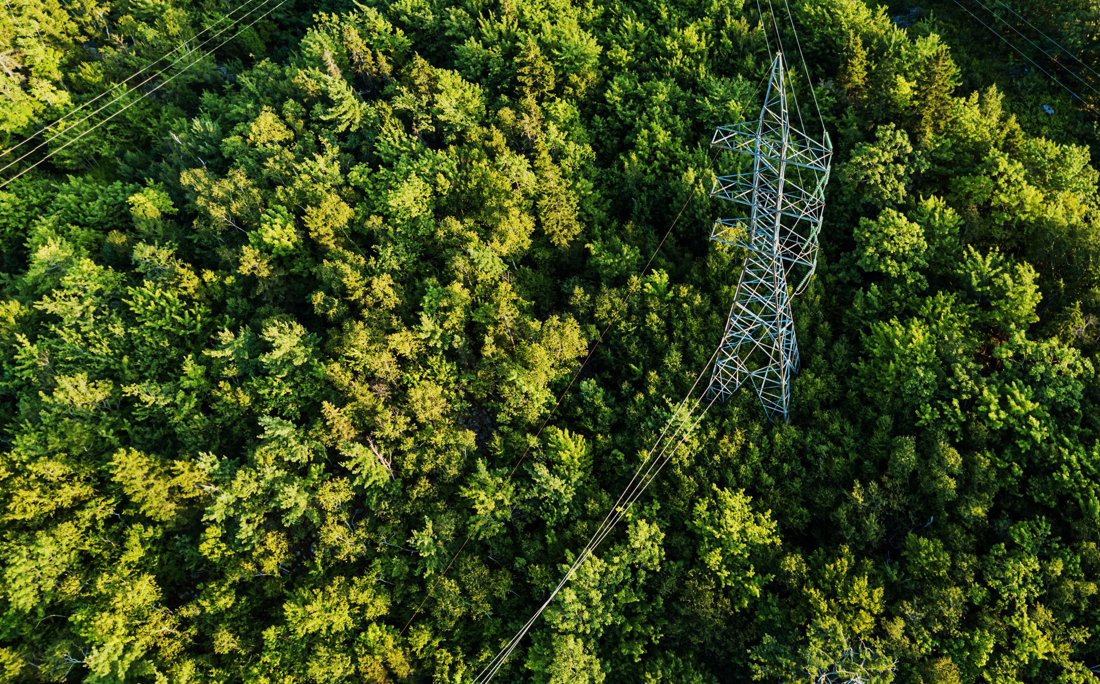Power Grid